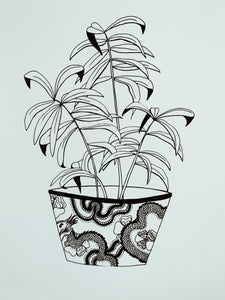 Dragon Pot Plant - Botany Lane Print by Kate Durham -Sale
