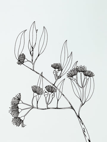 Flowering Gum Branch by Botany Lane Print -Sale