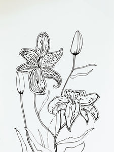 Lilies by Botany Lane Prints by Kate Durham
