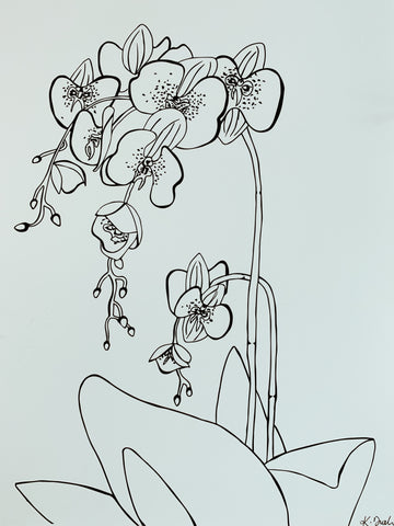 An Orchid - Botany Lane Prints by Kate Durham - Sale