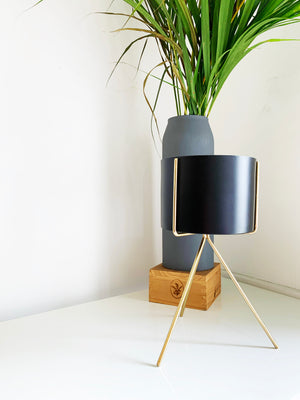 Black and Gold Cylinder Planter by Shiva Designs Bespoke