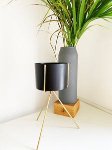 Black and Gold Cylinder Planter by Shiva Designs Bespoke